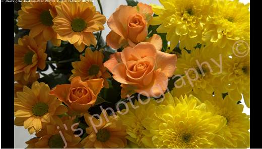 flower photo
