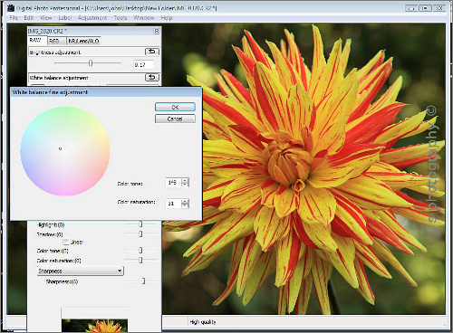 raw converter 4